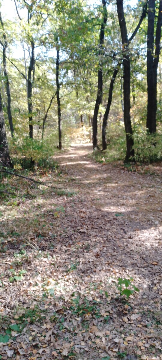 Личное фото