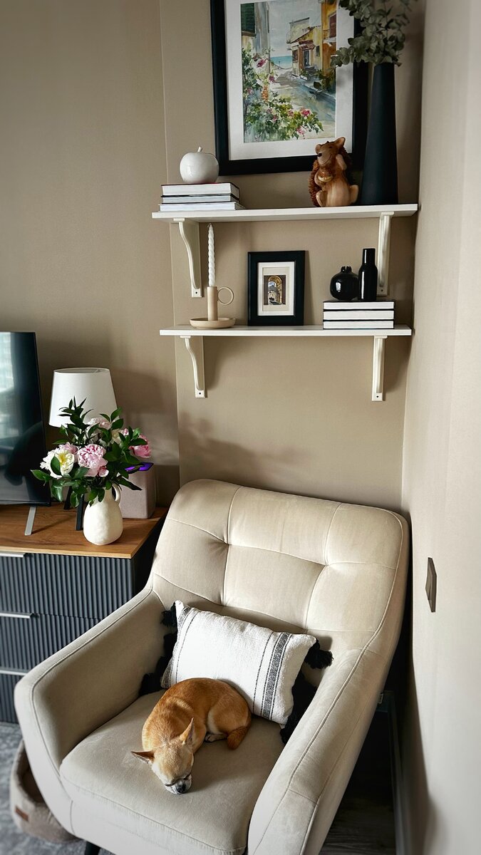 Генри абсолютно уверен, что это его кресло 😂 Свой домик, который я купила а магазине Familia, ему тоже нравится, но чаще он спит именно на кресле.