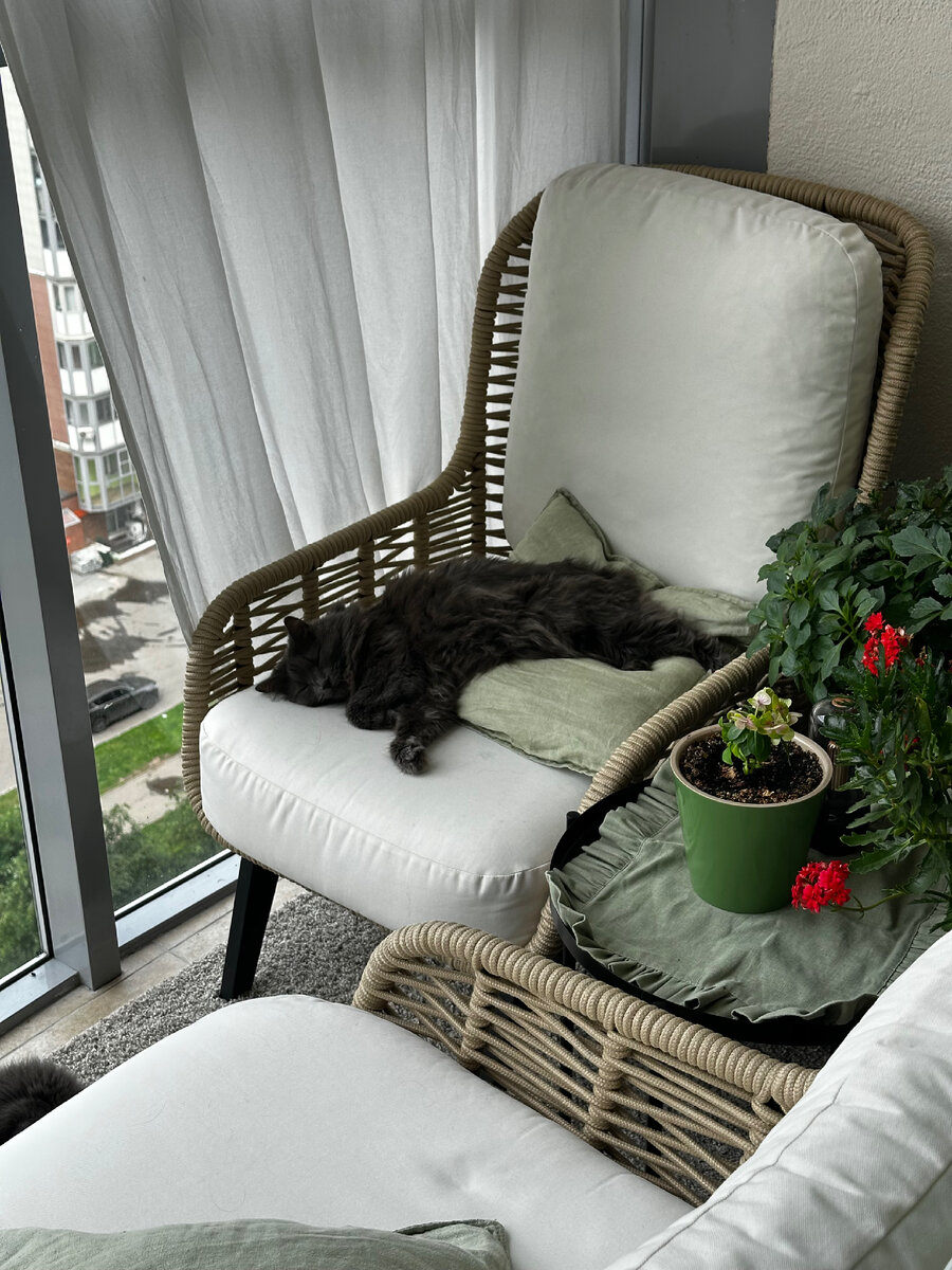 К слову Маня с Батошей сейчас больше времени проводят на свежем воздухе. Тоже в креслах само собой. Все лучшее — кошкам. Разве иначе бывает? 😂