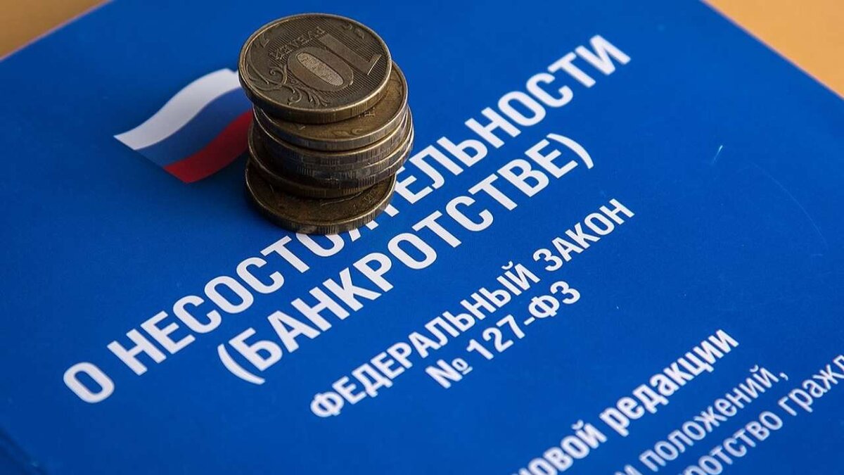    Госдума одобрила законопроект о внесении изменений в процедуру внесудебного банкротства