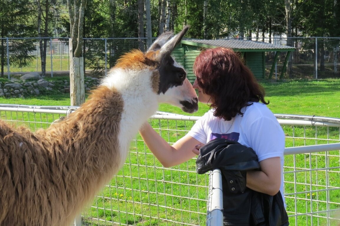 Добро пожаловать в Карельский зоопарк