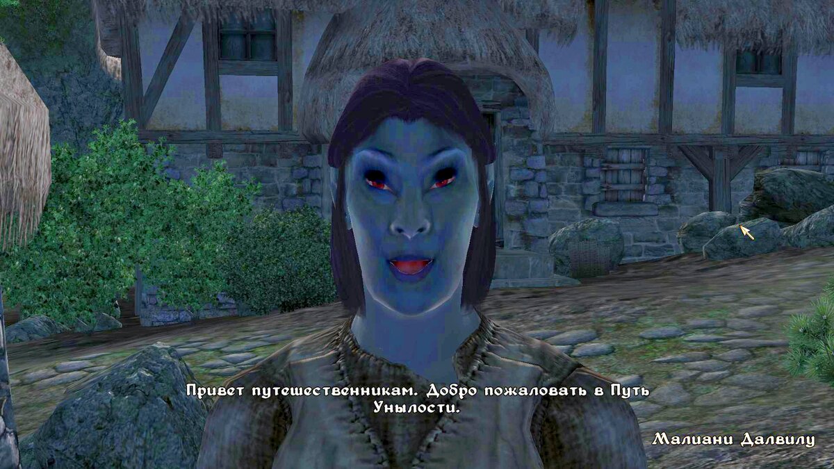 Обливион: квест «Мефала» | The Elder Scrolls  АпоКриФ | Дзен