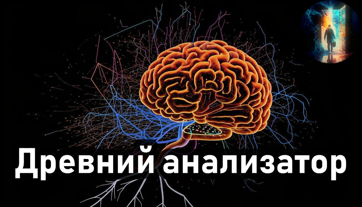 Добрый день, друзья! Сегодня мы с вами узнаем, пожалуй, о самой древней системе, поставляющей нам информацию из окружающего мира.