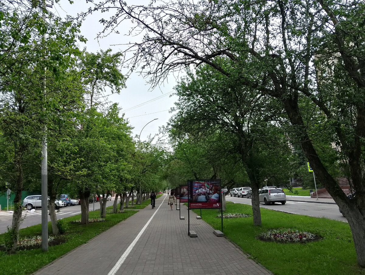 Аллея, по которой частенько прогуливаюсь до и после работы, фото автора