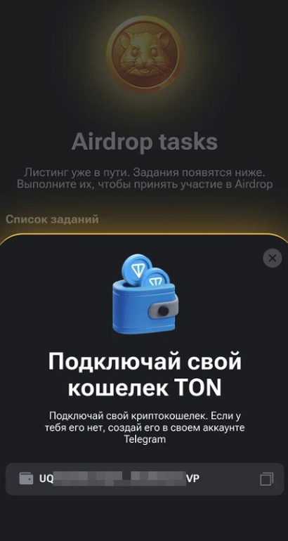 так выглядит подключенный кошелек в боте Хамстер Комбат