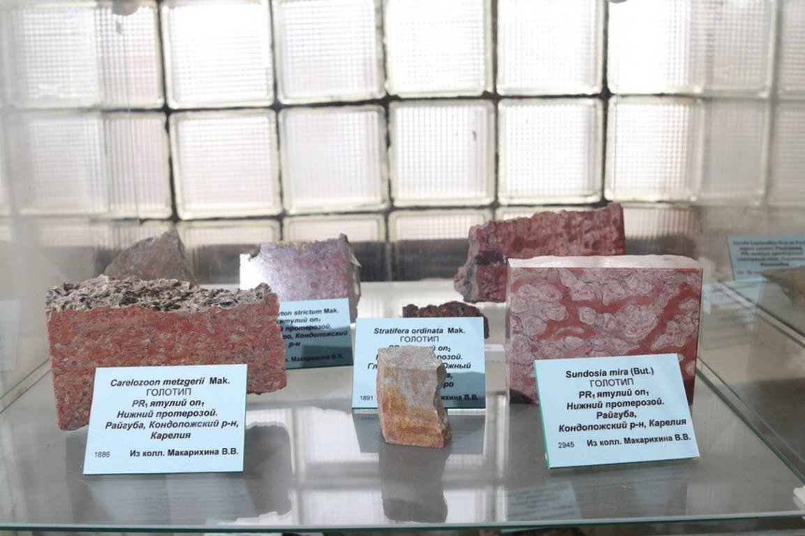 Музей геологии докембрия в Петрозаводске