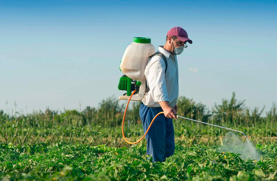     Главное требование к продукции растительного происхождения - безопасность