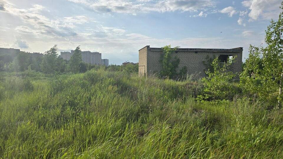 Фото: © t.me/ПРОКУРАТУРА РЯЗАНСКОЙ ОБЛАСТИ