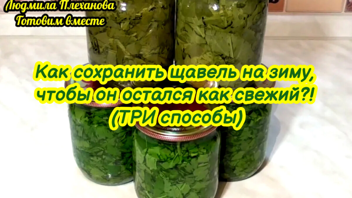 Как сохранить щавель на зиму⁉️ У меня свой свежий щавель круглый год.  Делюсь своими способами сохранить щавель свежим (Как свежим) | Людмила  Плеханова Готовим вместе. Еда | Дзен