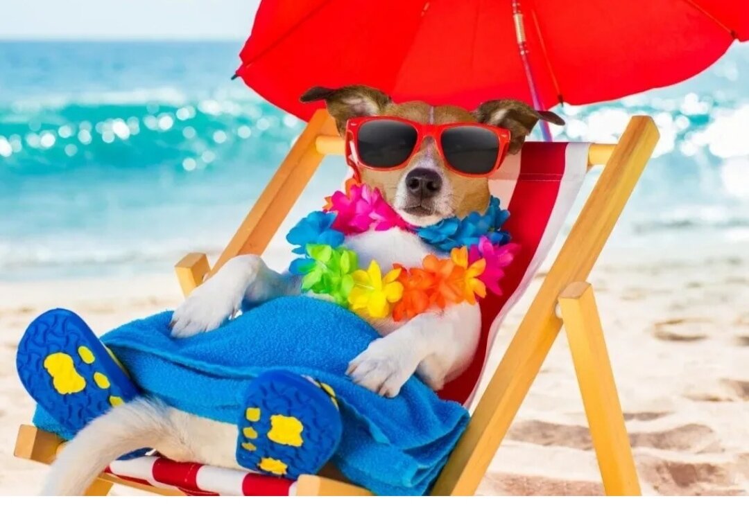 Фото из интернета