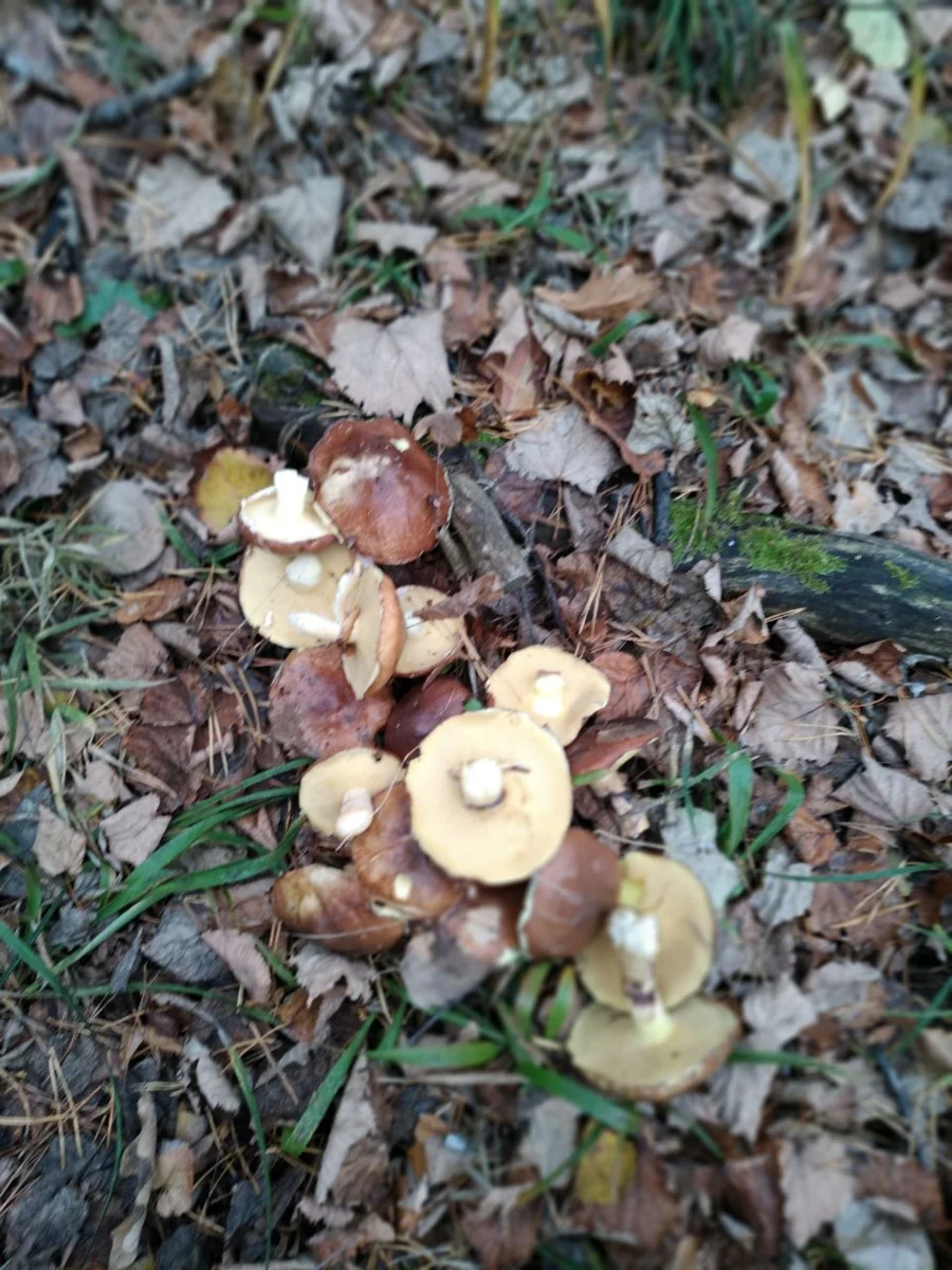 Фото из семейного архива автора