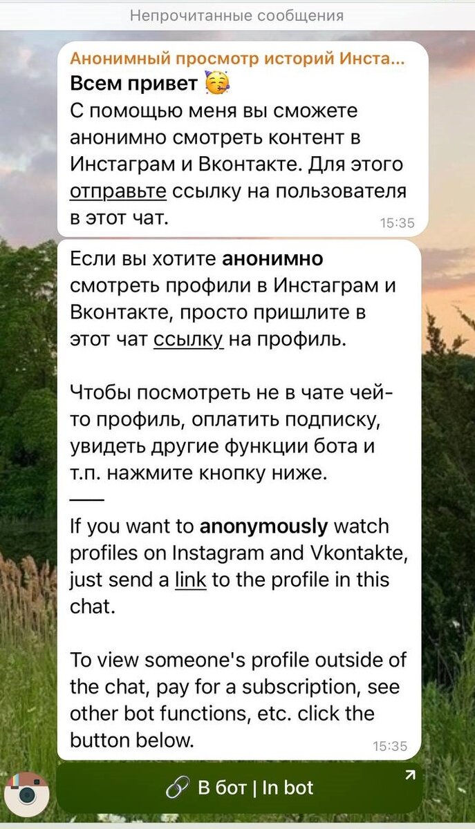 Анонимный шпион Инстаграм историй | Полезные инструменты Telegram | Дзен