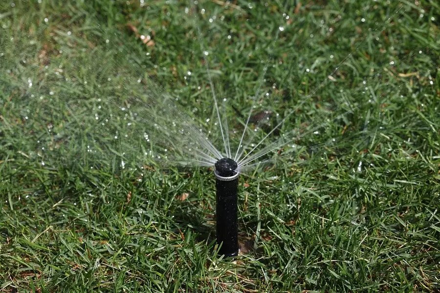     Источник: Администрация Волгоградской области