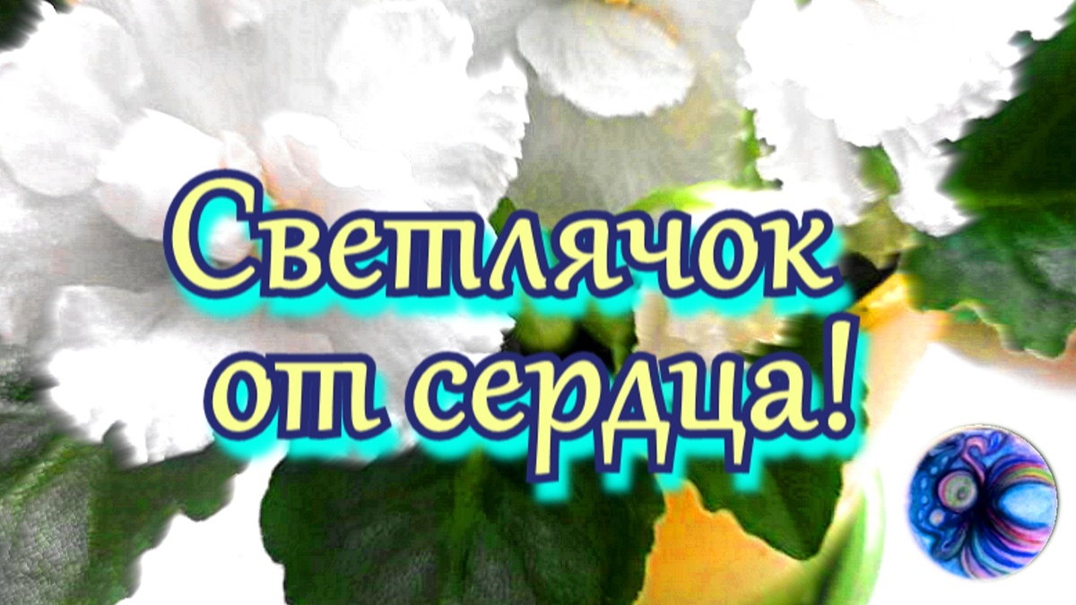 Фото автора с обработкой 