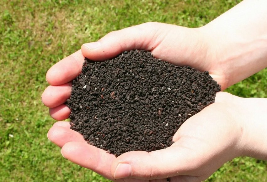 свой бесплатный биогумус

