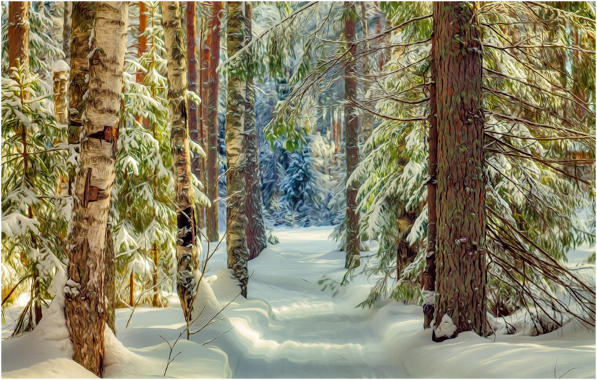 Зимний лес. Картинка из Яндекса