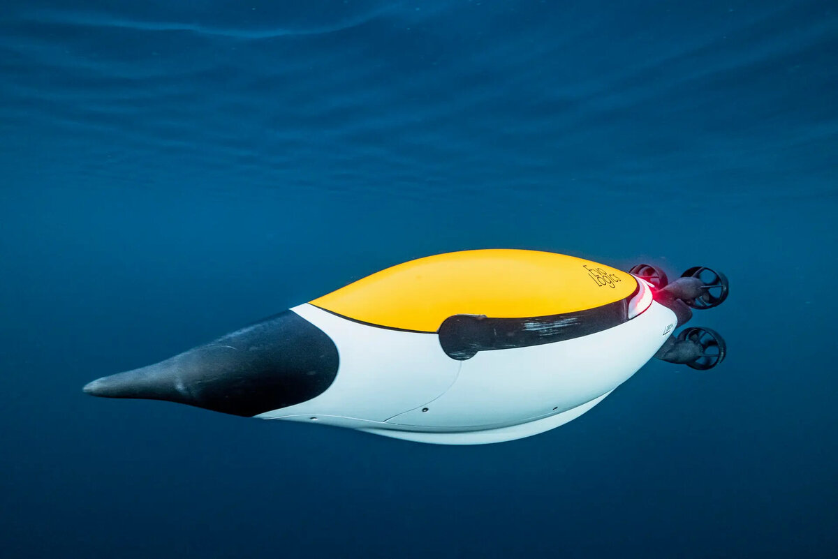 Длина бота составляет 1120 мм, а весит он менее 25 кг вне воды