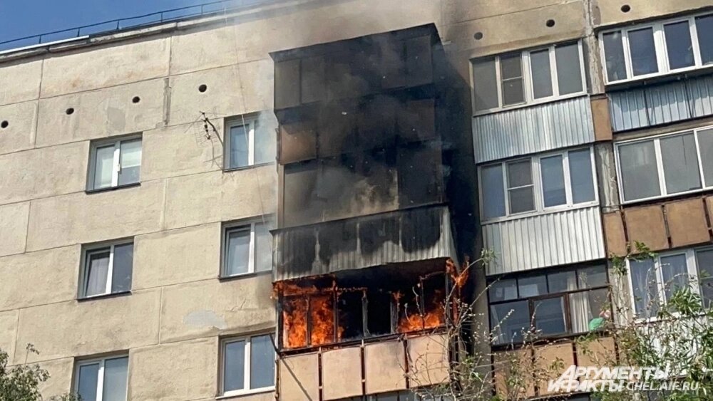    Фото:  АиФ/ Фото Надежды Уваровой