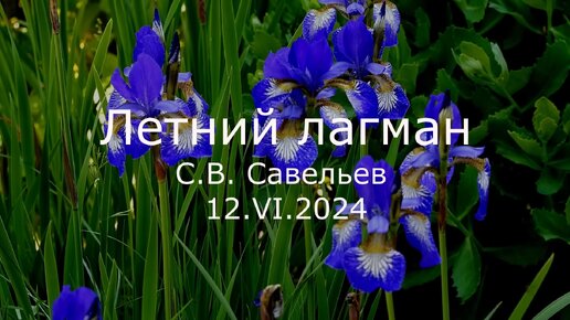 С.В. Савельев. Летний лагман - [20240612]