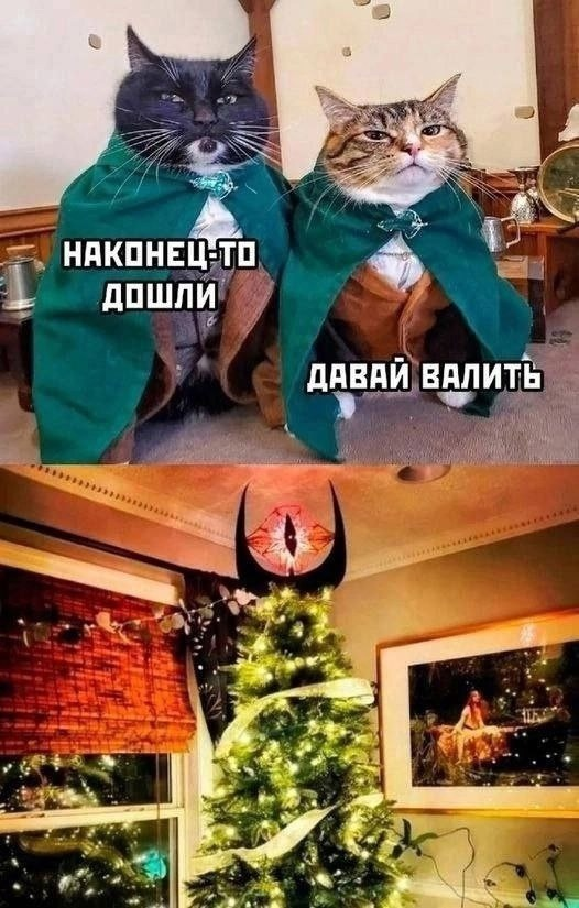 Картинка взята из открытого доступа в сети Интернет