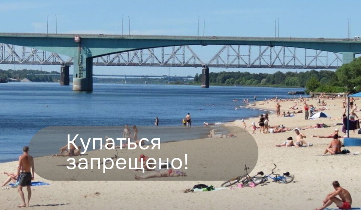 Тверицкий пляж в Ярославле. Источник фото - news.myseldon.com