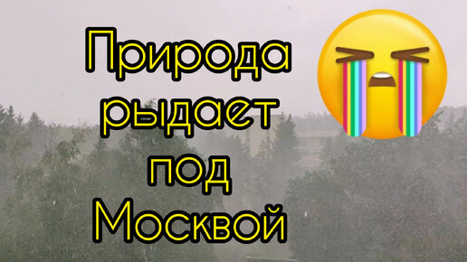 Природа плачет под Москвой