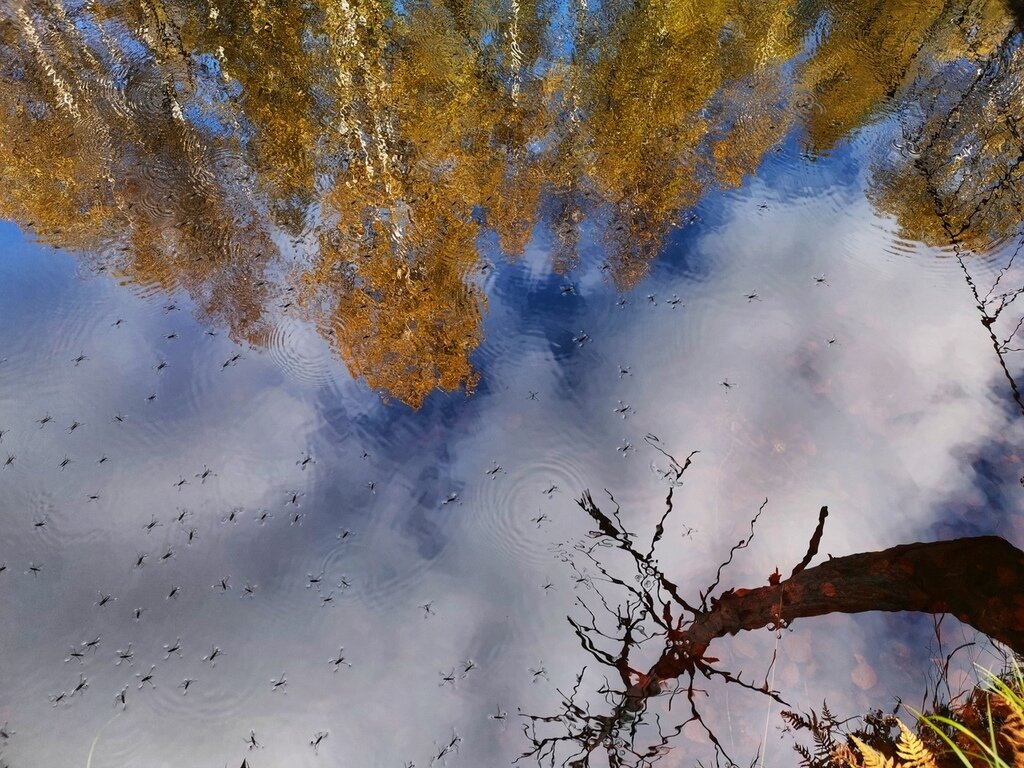 Добро пожаловать в Карелию