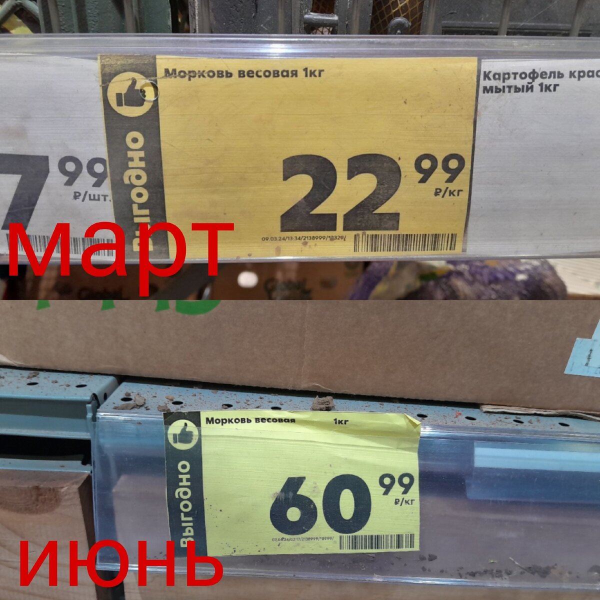 В рязанских магазинах подорожали продукты первой необходимости | Новости —  РЗН.инфо | Дзен