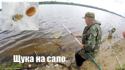 Щука на сало