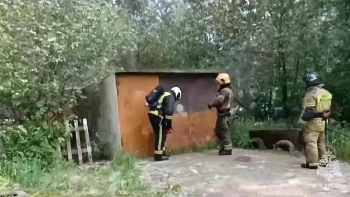     Источник: Пресс-служба ГУ МЧС по Удмуртской Республике