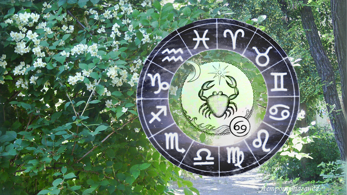 Гороскоп для Раков с 10 по 30 июня 2024. 