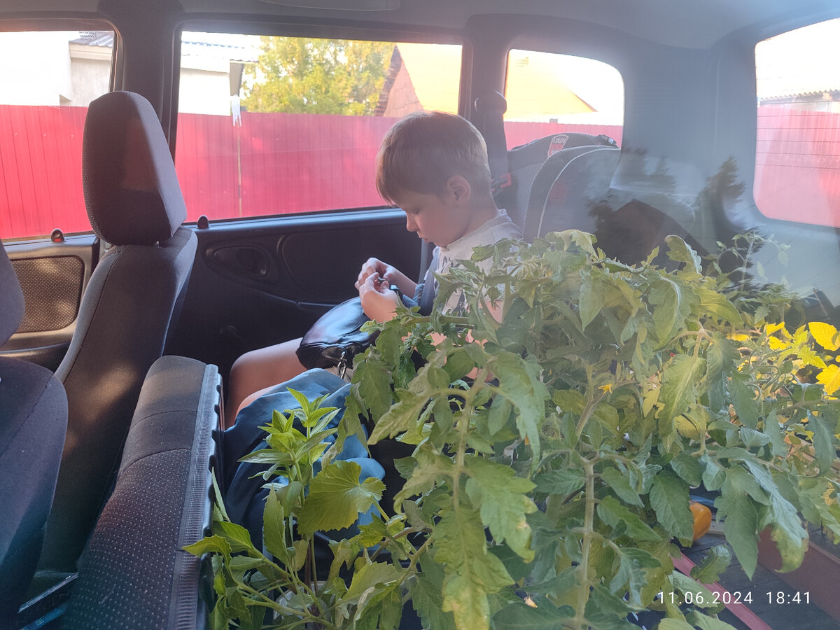 Павел в помидорах