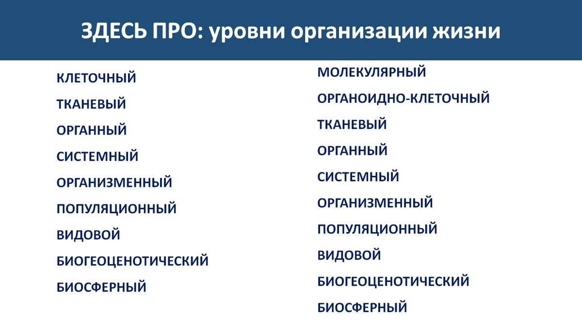 Уровни организации жизни - это... Это всё равно, что уровни в компьютерной игре. Не прошёл первый - не попадёшь на второй, более сложный.