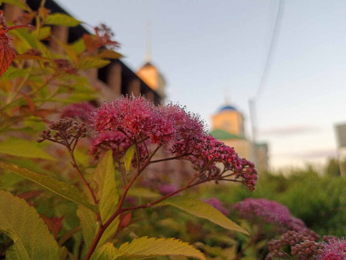 Вечерний город