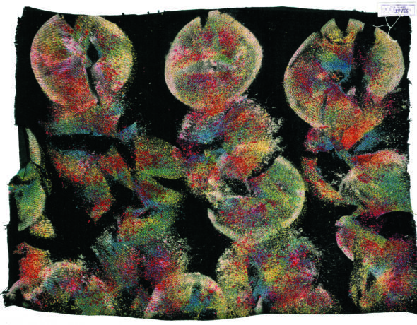 Образец ткани, выполненный Людмилой Маяковской