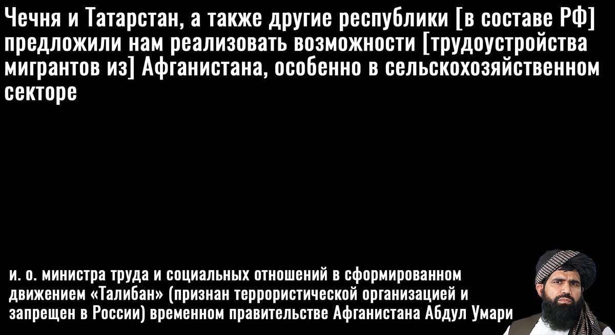 Цитата Умари