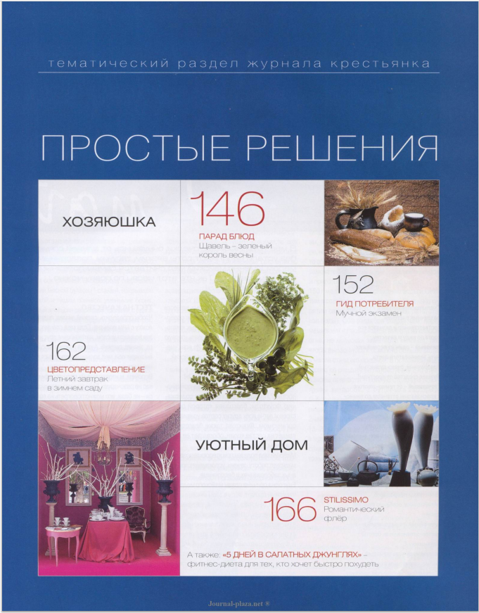 фрагмент страницы журнала "Крестьянка" 5/2008