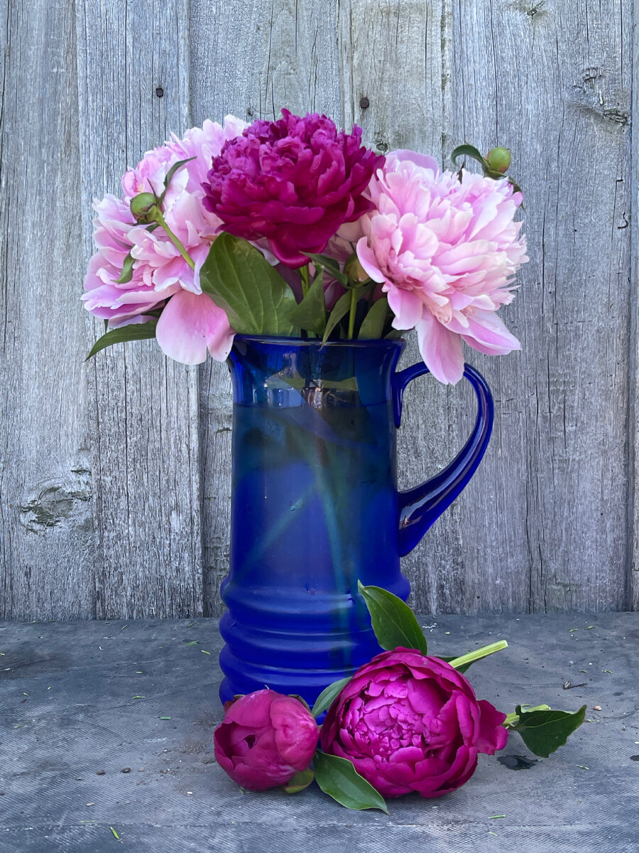 А какая красота меня здесь окружает 🥰