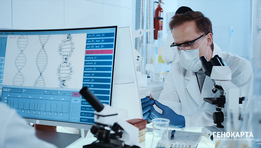 Marcin Janiec // shutterstock.com