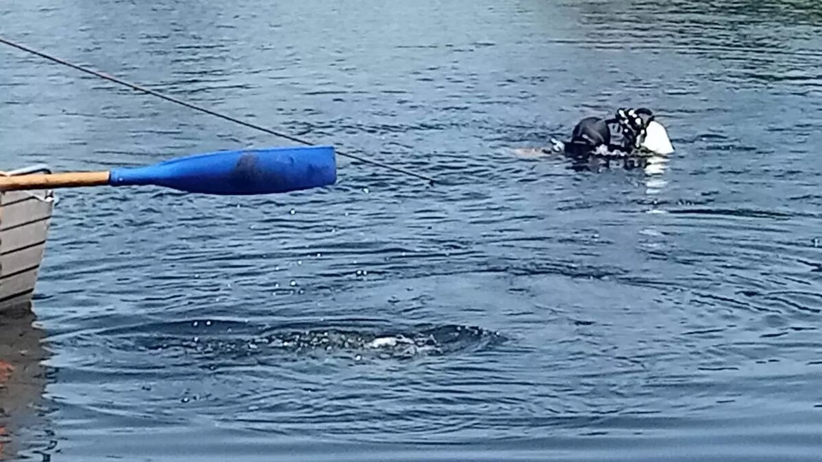     Источник: Госкомитет РБ по ЧС.