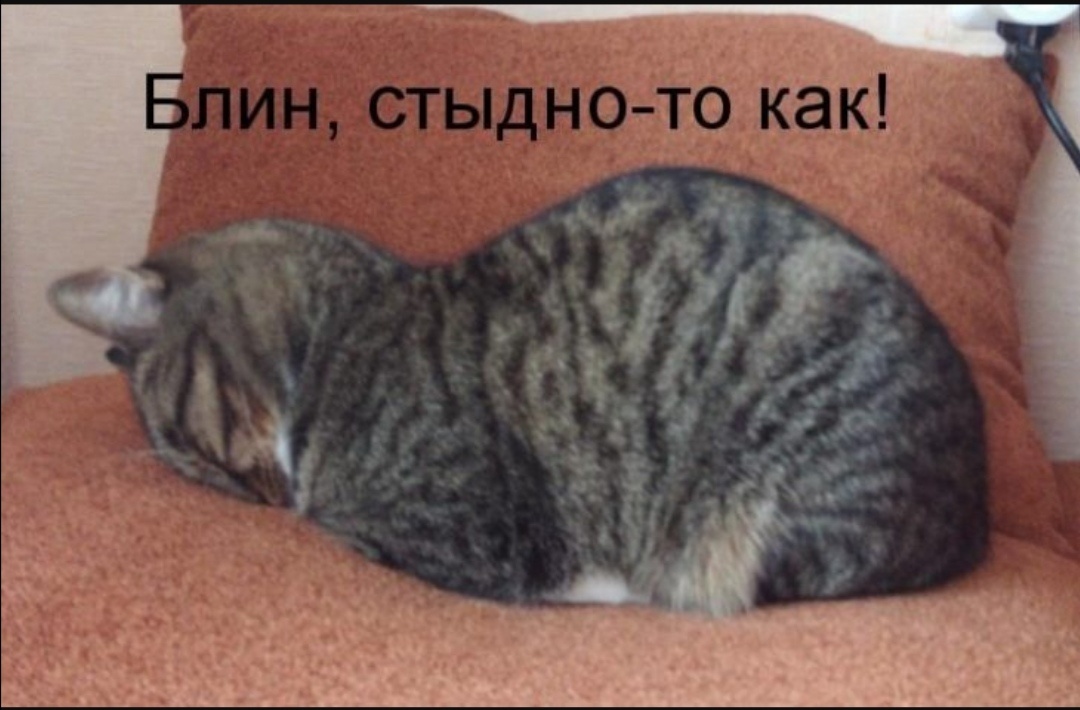 Автор, пристыженный общественным мнением.. 