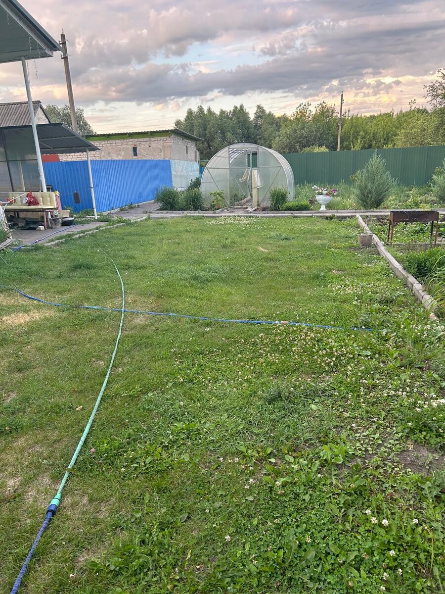 Это наш двор