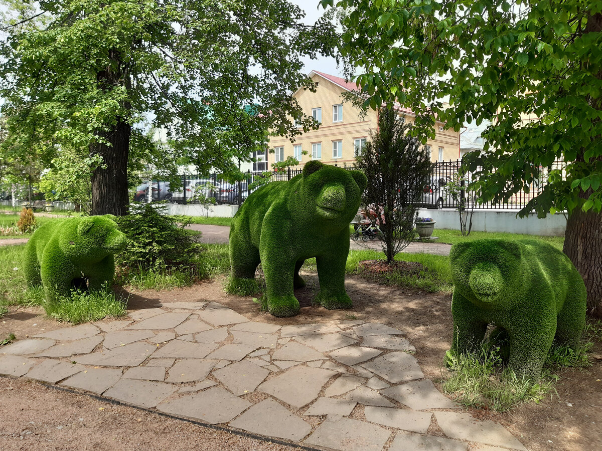 Медведица с медвежатами
