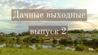 Дачные выходные: готовлю несколько блюд, облагораживаю участок и сажаю цветы