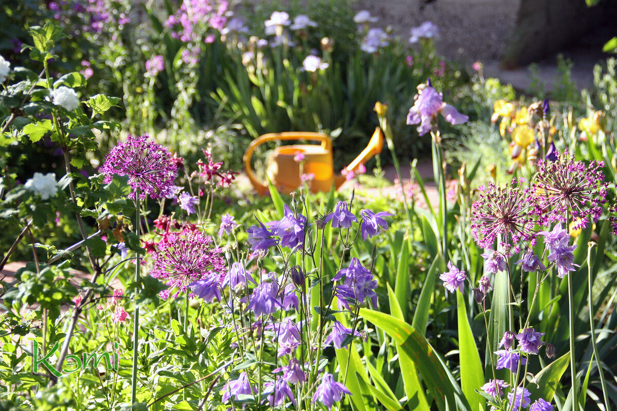 В какой-то момент время останавливается. И ты вдруг осознаешь, что вот она Гармония Настоящего. 
