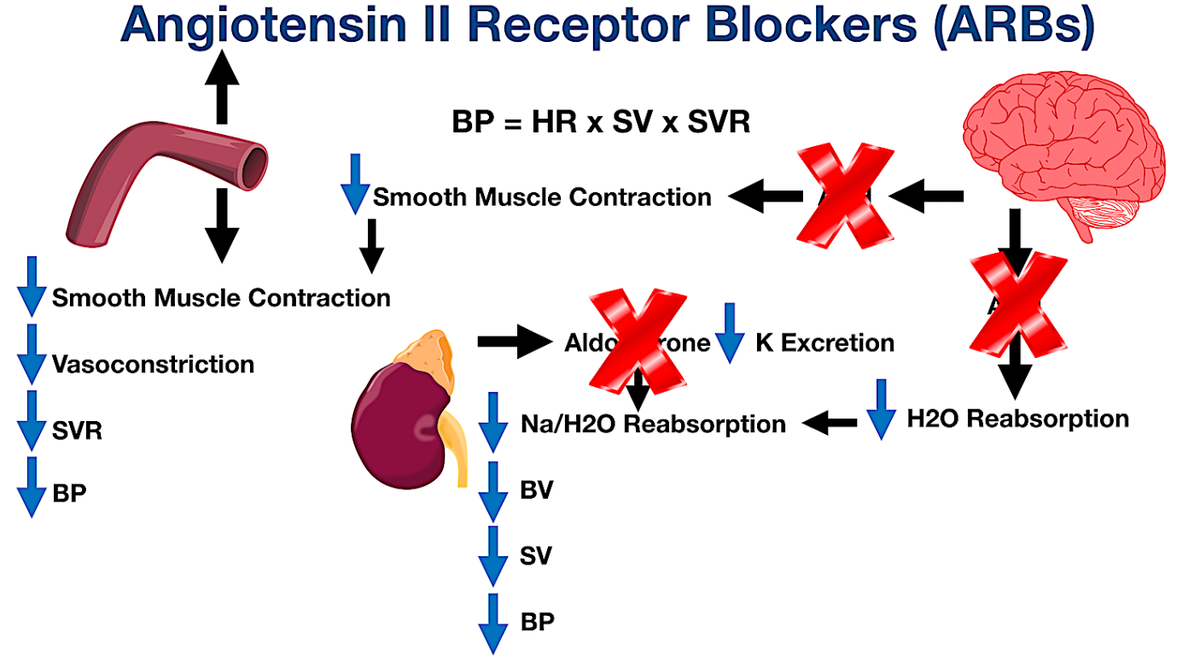 Блокаторов рецепторов ангиотензина II 