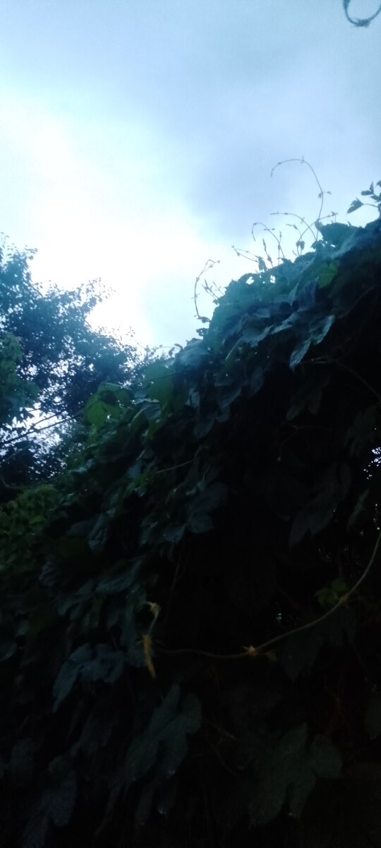 Личное фото