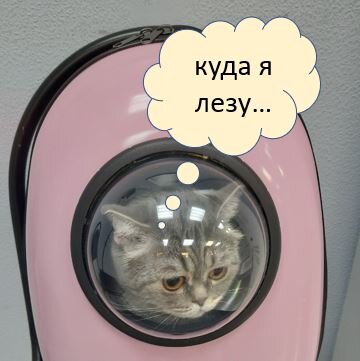 Главный теоретик