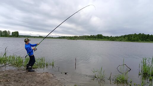 Трофейный карп супер ощущения