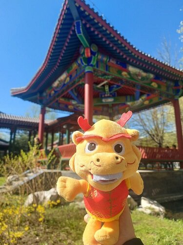 Дракон в парке Хуамин